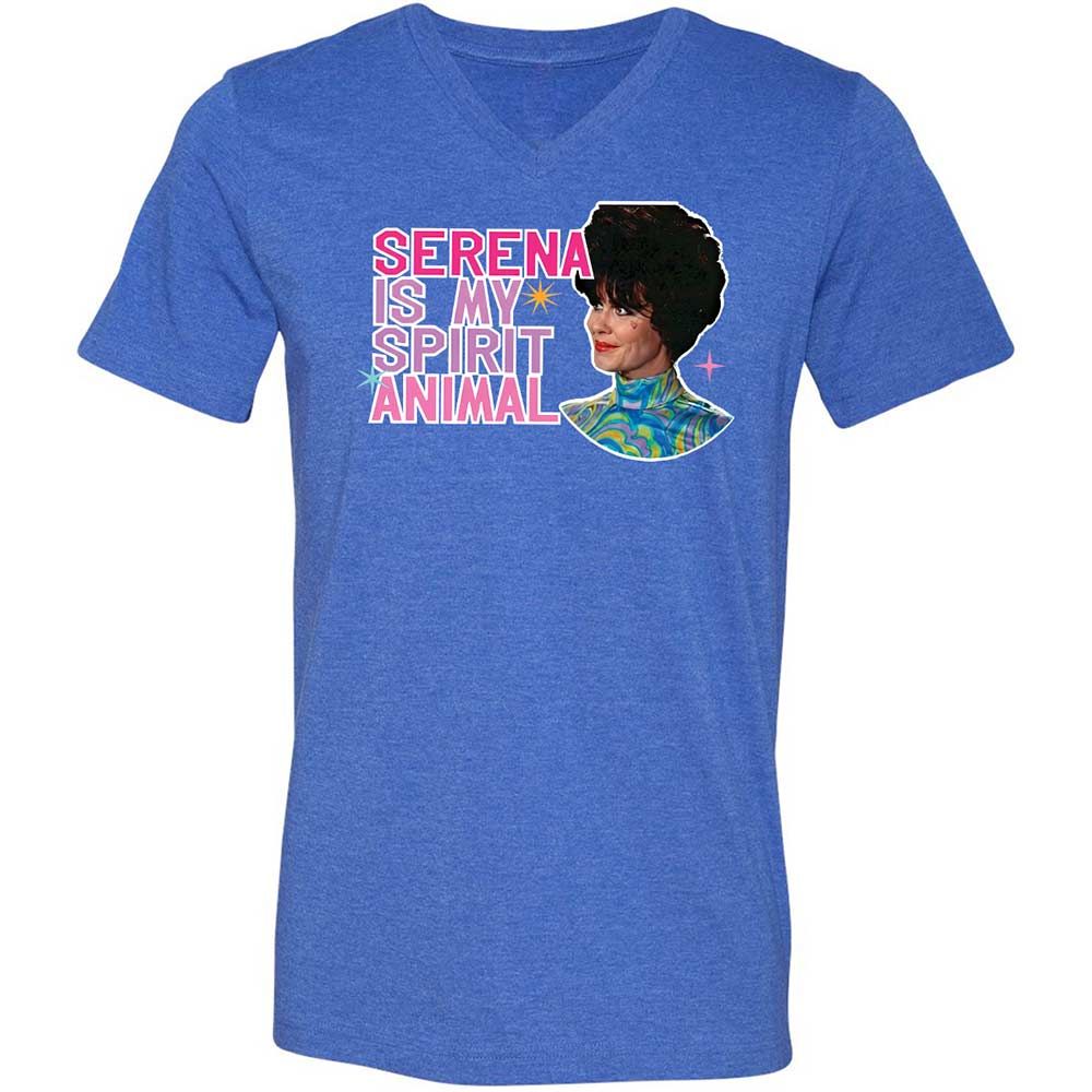 Unisex V-Neck T-Shirt - GLVFC7Q1 - Heather True Royal - 5