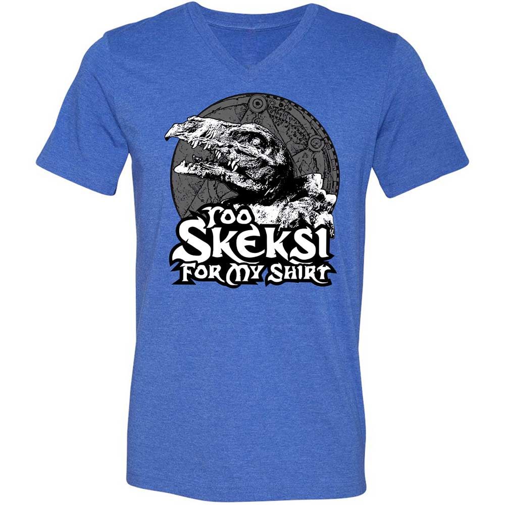 Unisex V-Neck T-Shirt - D7Z6V5R3 - Heather True Royal - 5