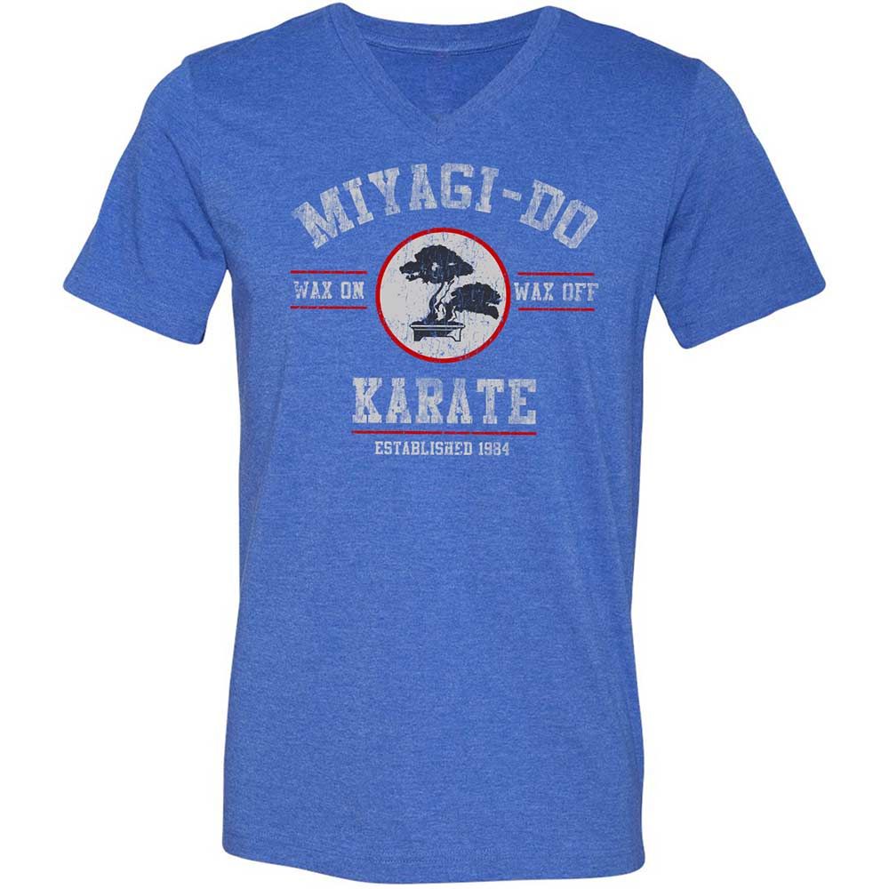 Unisex V-Neck T-Shirt - YSD1PHR9 - Heather True Royal - 5
