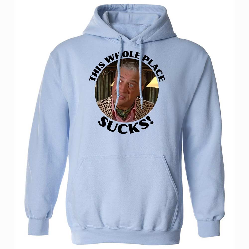 Classic Unisex Hoodie - GVYYUC27 - Light Blue - 5