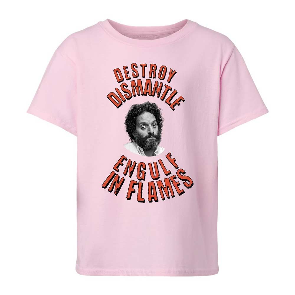 Destroy, Dismantle, Engulf in Flames - Light Pink - 5