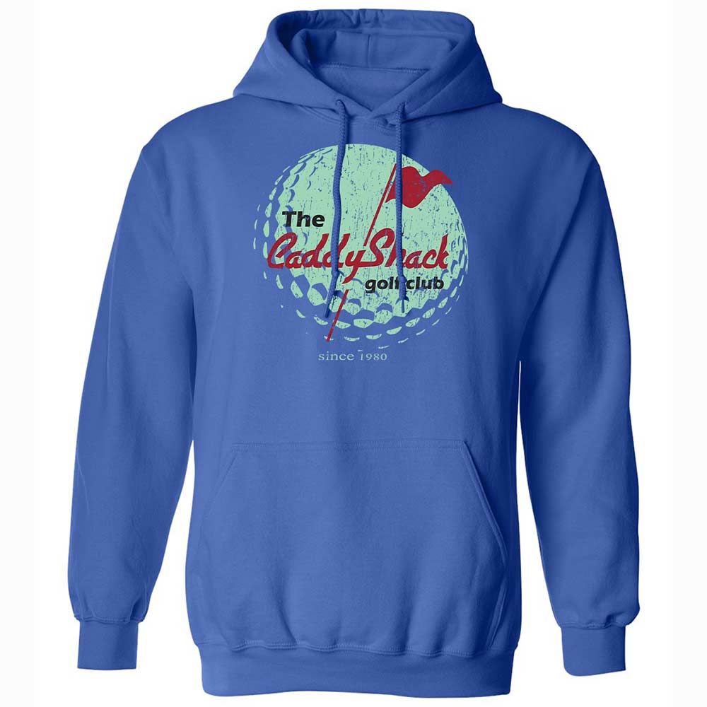 Classic Unisex Hoodie - 9VD7YSQY - Royal - 5
