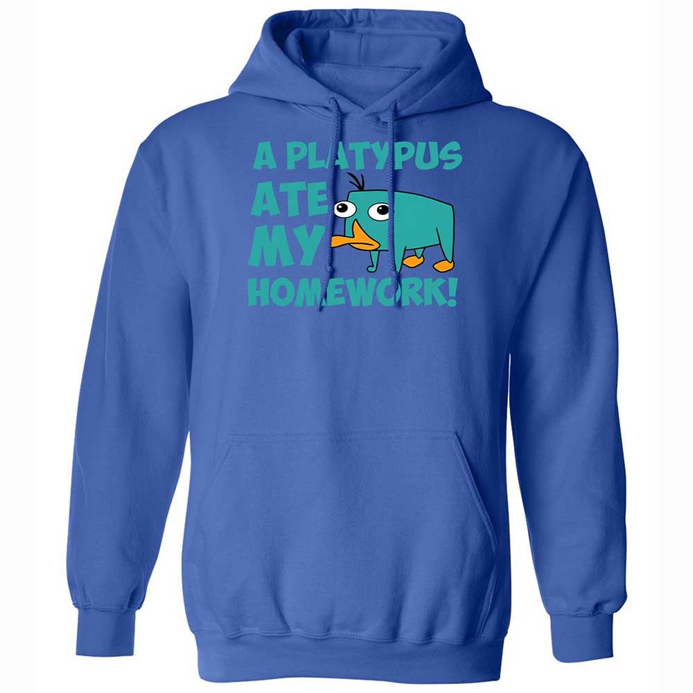 Classic Unisex Hoodie - 6LCQ1Y8Y - Royal - 5
