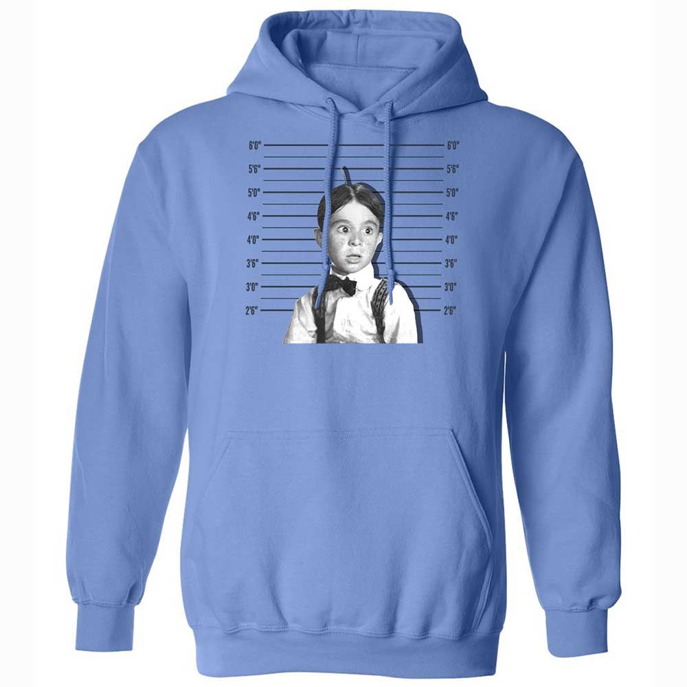 Classic Unisex Hoodie - 541CJLA1 - Carolina Blue - 6