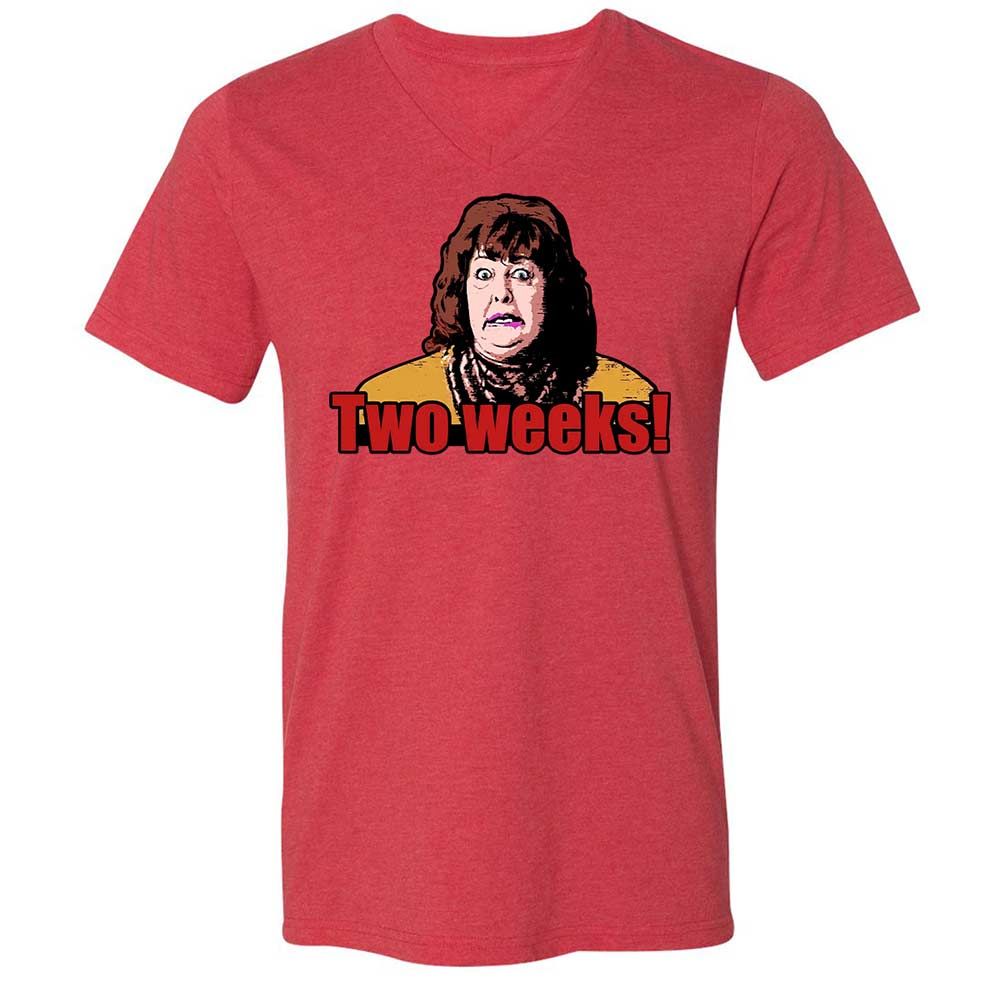 Unisex V-Neck T-Shirt - H9M9T2TE - Heather Red - 6