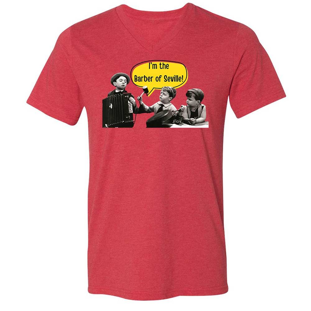 Unisex V-Neck T-Shirt - ANQYQH8G - Heather Red - 6