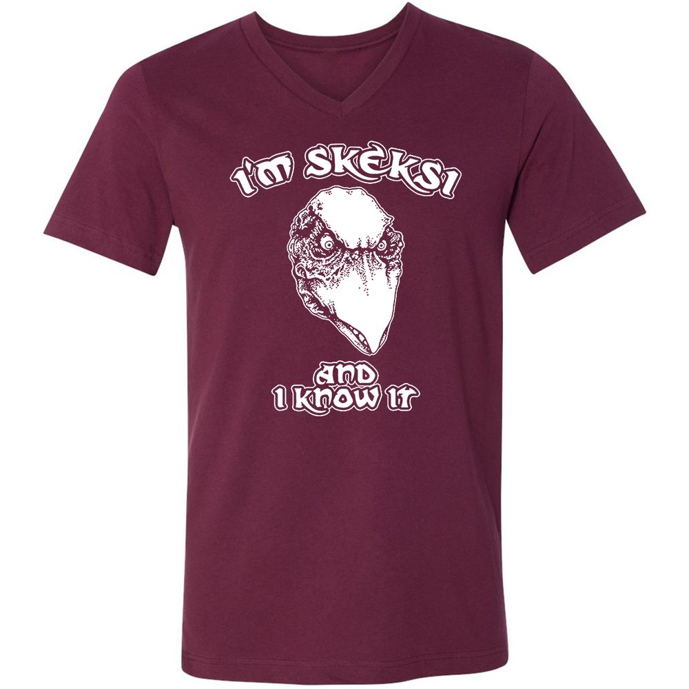 Unisex V-Neck T-Shirt - AGCXZ1HQ - Maroon - 6