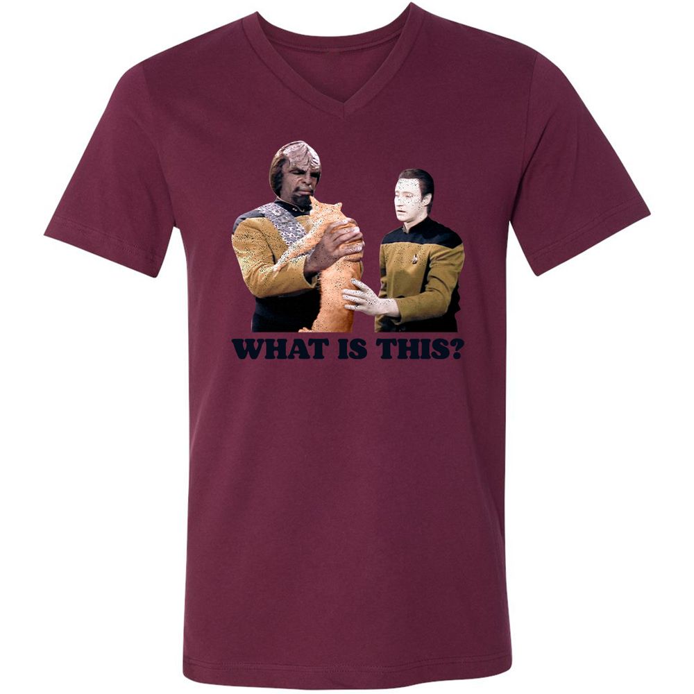 Unisex V-Neck T-Shirt - YKNF1RGE - Maroon - 6