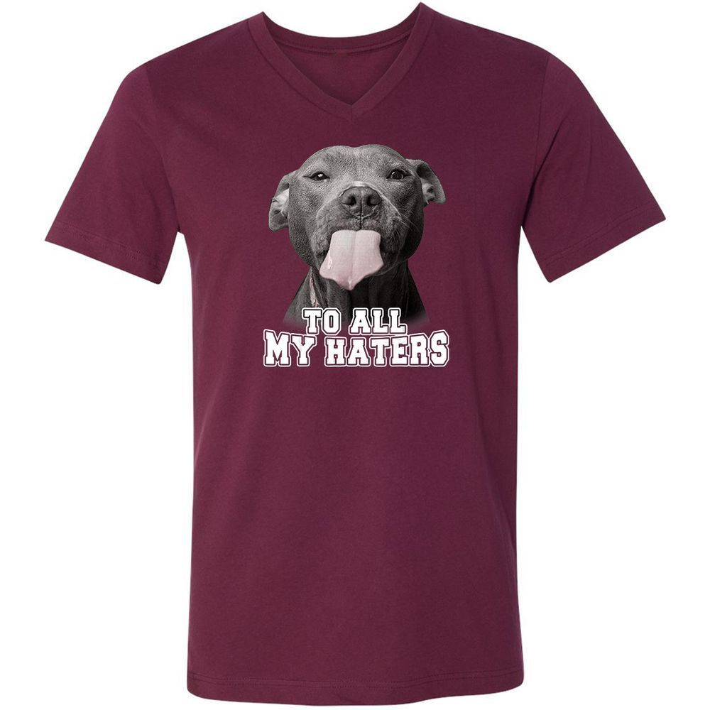 Unisex V-Neck T-Shirt - 3Z36GRAF - Maroon - 6