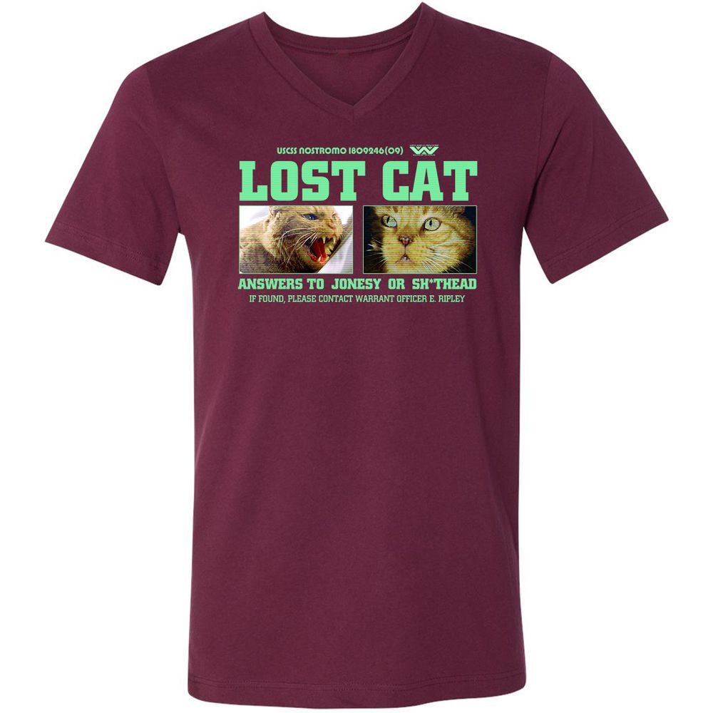 Unisex V-Neck T-Shirt - R84XMN4U - Maroon - 6