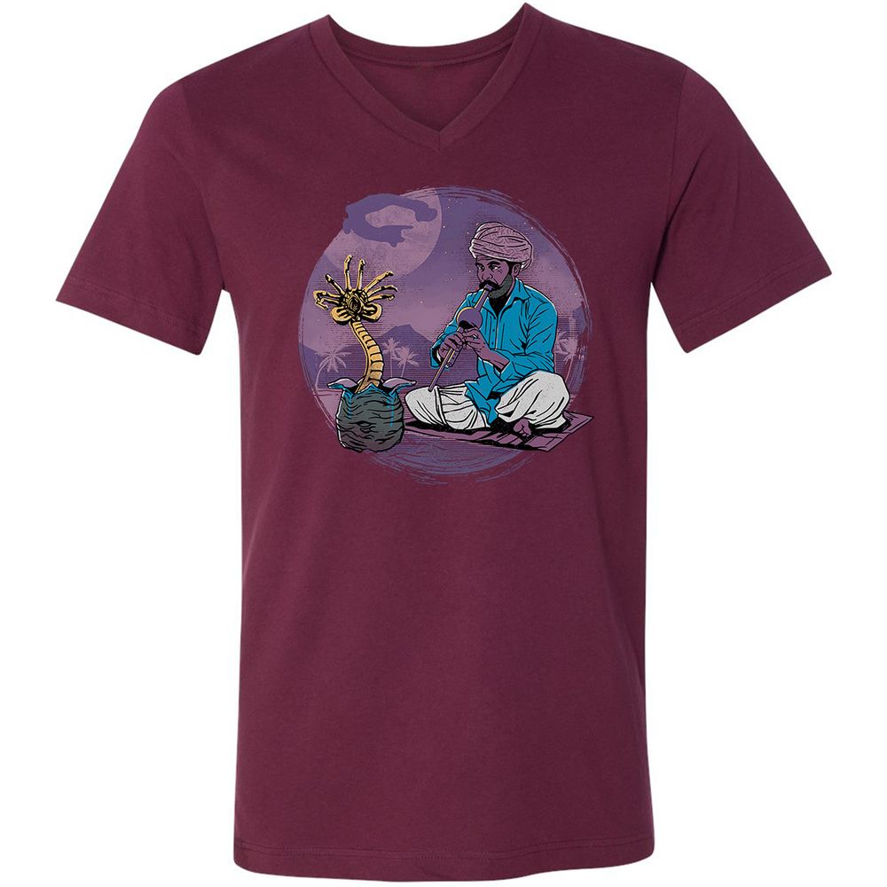 Unisex V-Neck T-Shirt - 2W9BNYK4 - Maroon - 6