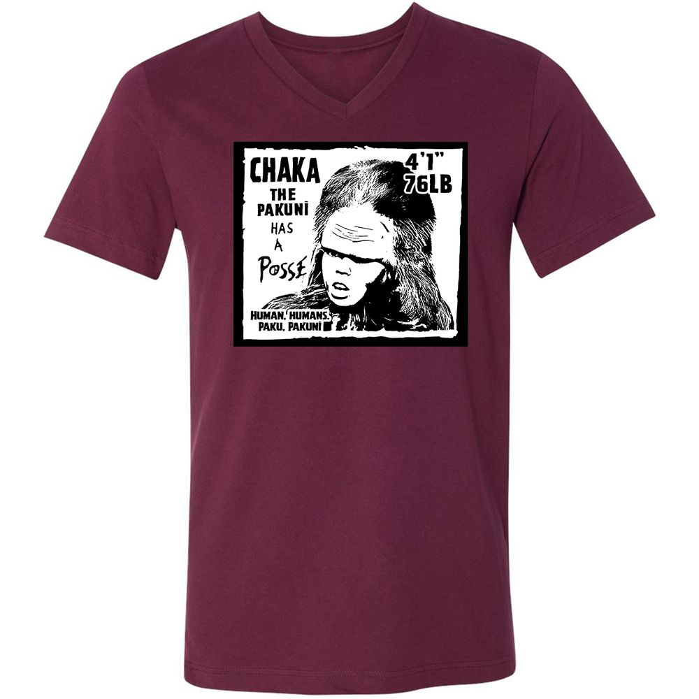 Unisex V-Neck T-Shirt - HWTV1J9A - Maroon - 6