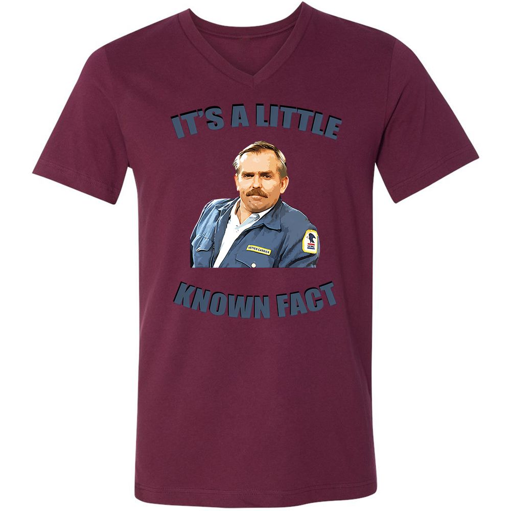 Unisex V-Neck T-Shirt - Y4Q4STCB - Maroon - 6