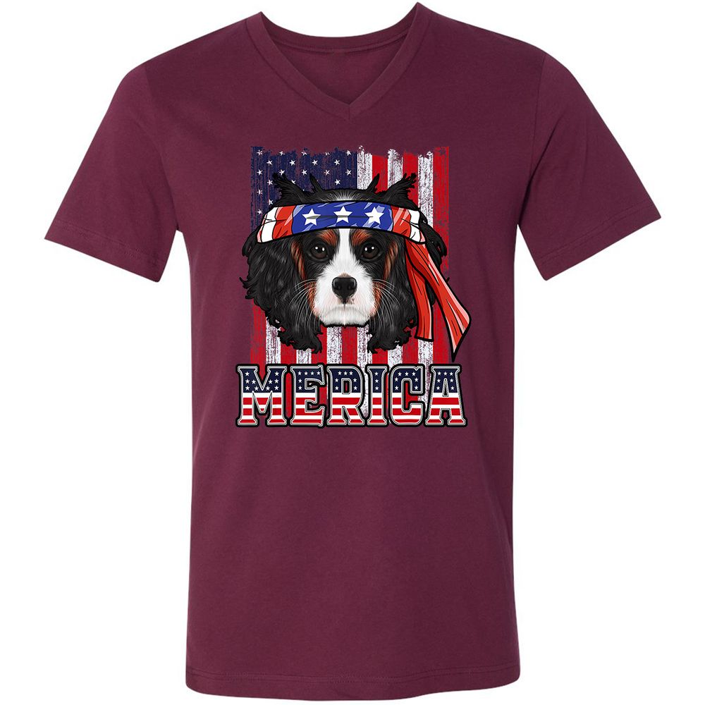 Unisex V-Neck T-Shirt - PRX98J7N - Maroon - 6