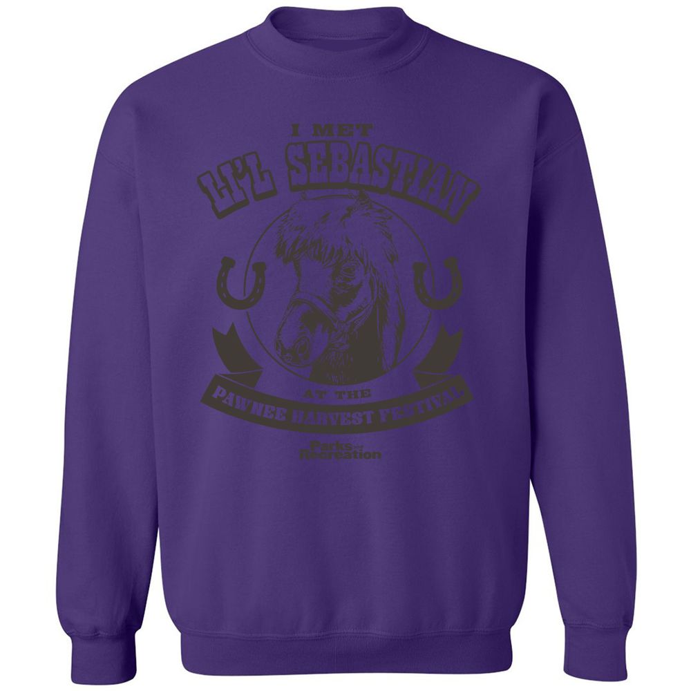 Classic Unisex Sweatshirt - B11YQVES - Purple - 6