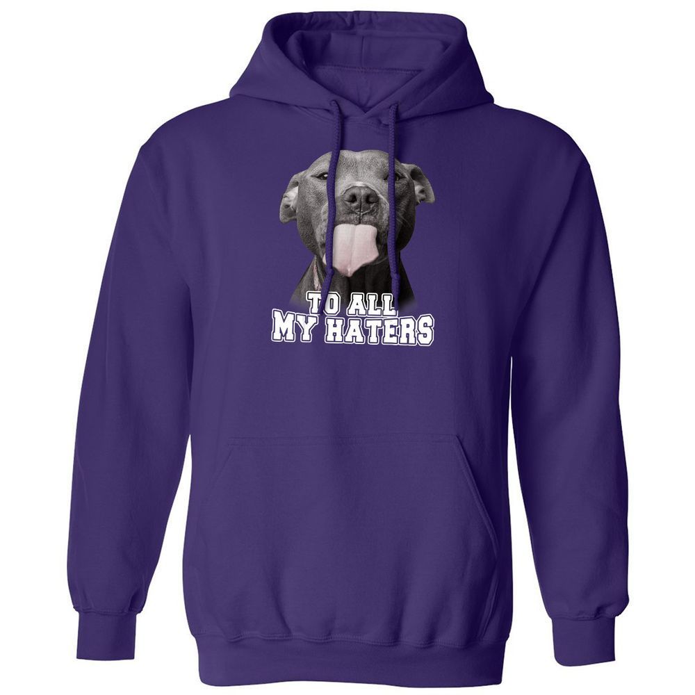 Classic Unisex Hoodie - GCNXTP9W - Purple - 6