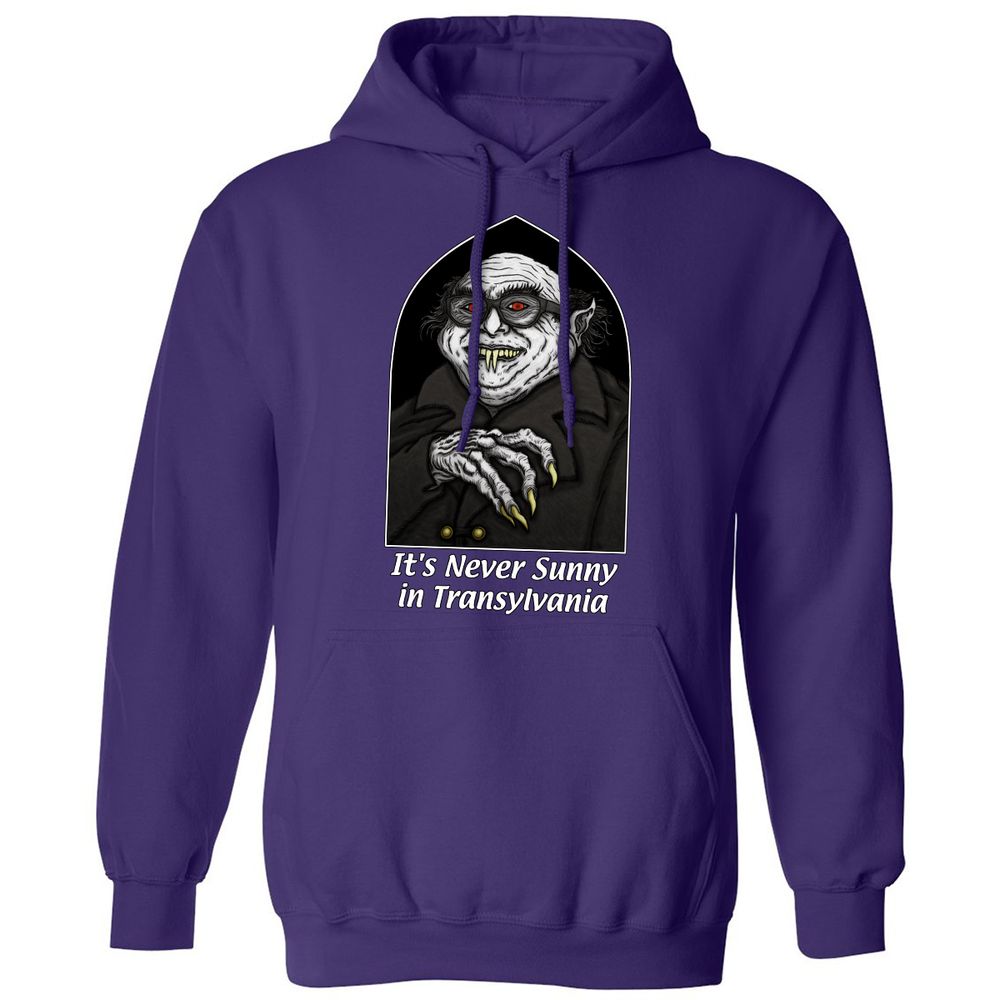 Classic Unisex Hoodie - Q2HXGFSY - Purple - 6