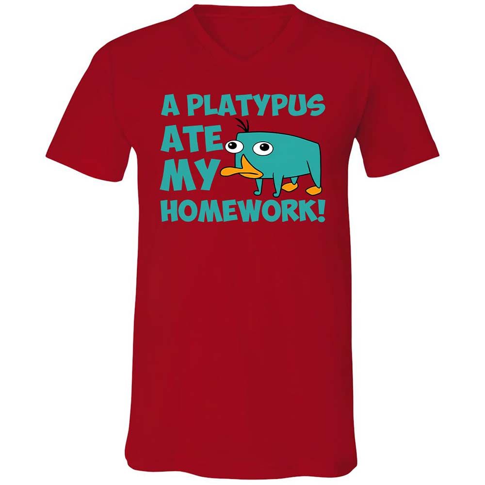 Unisex V-Neck T-Shirt - 5LF2ZZDD - Red - 6