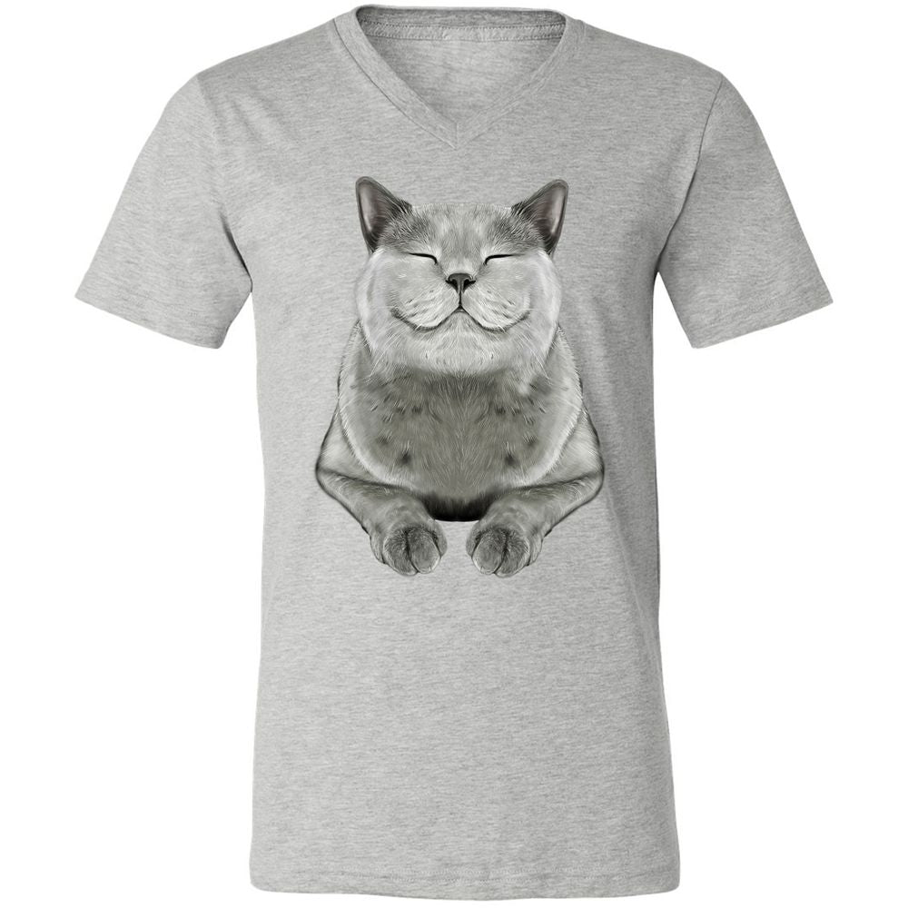 Unisex V-Neck T-Shirt - DRVCAR69 - Athletic Heather - 7