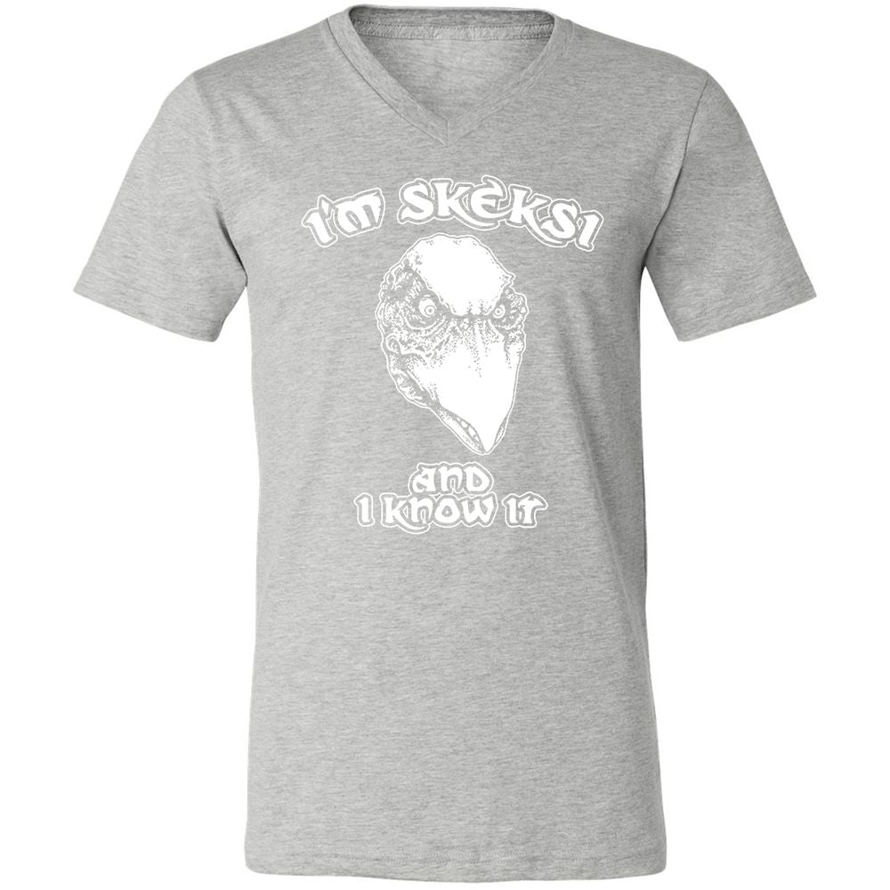 Unisex V-Neck T-Shirt - AGCXZ1HQ - Athletic Heather - 7