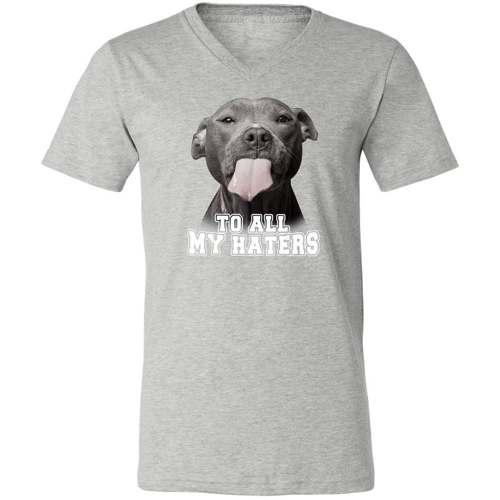 Unisex V-Neck T-Shirt - 3Z36GRAF - Athletic Heather - 7