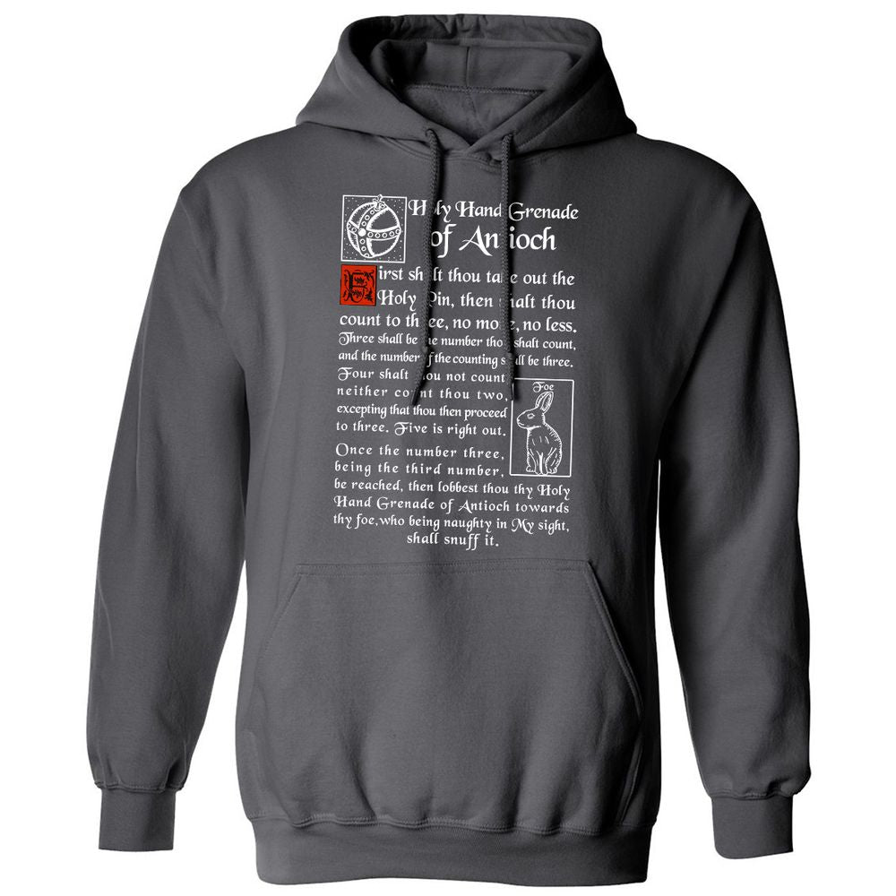 Classic Unisex Hoodie - W8KTF7A1 - Charcoal - 7