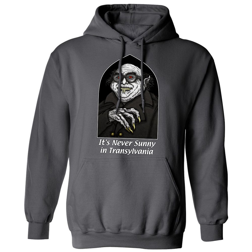 Classic Unisex Hoodie - Q2HXGFSY - Charcoal - 7