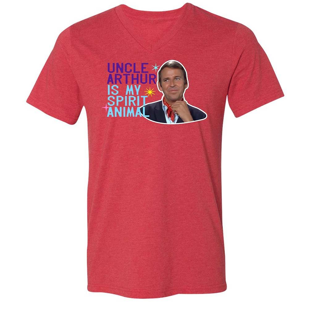 Unisex V-Neck T-Shirt - QBVG3XTZ - Heather Red - 7