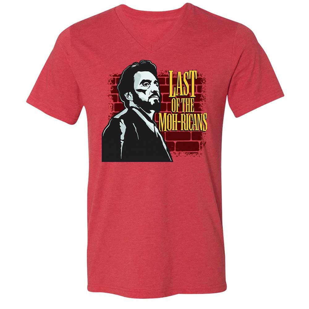 Unisex V-Neck T-Shirt - ALT917J5 - Heather Red - 7