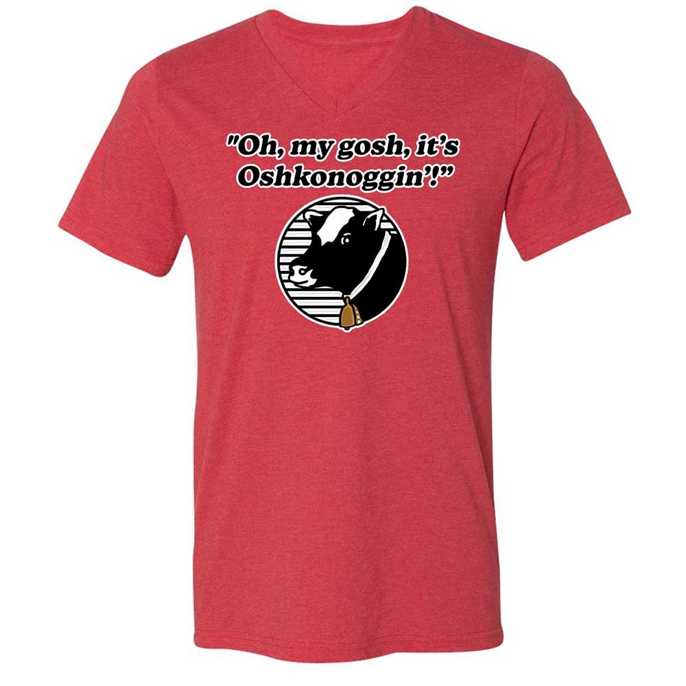 Unisex V-Neck T-Shirt - 1P4VD1AQ - Heather Red - 7