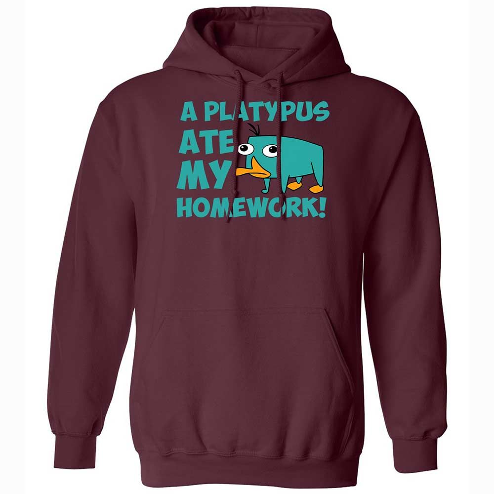 Classic Unisex Hoodie - 6LCQ1Y8Y - Maroon - 7