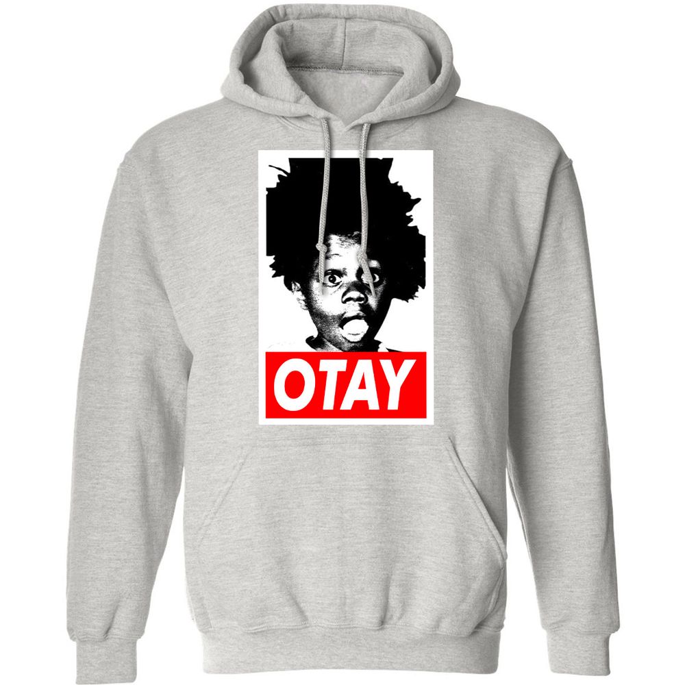 Classic Unisex Hoodie - BHTRAV4D - Ash - 8