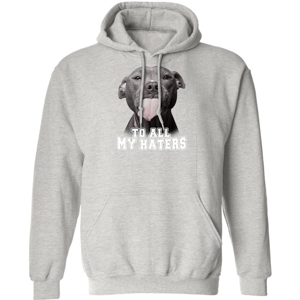 Classic Unisex Hoodie - GCNXTP9W - Ash - 8