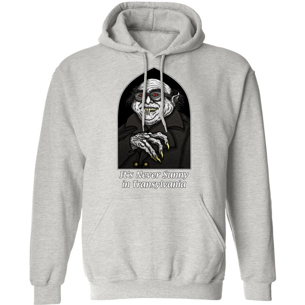 Classic Unisex Hoodie - Q2HXGFSY - Ash - 8
