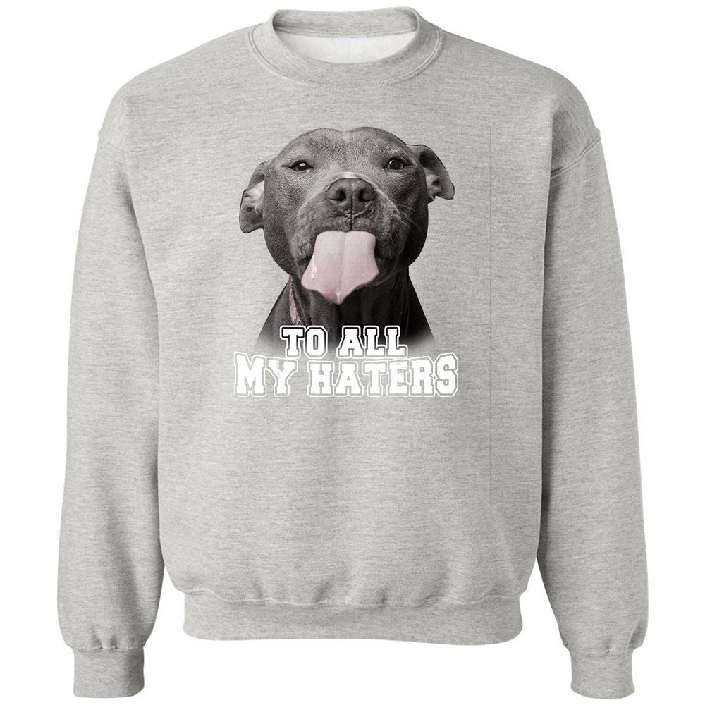 Classic Unisex Sweatshirt - MJ584PJS - Ash - 8