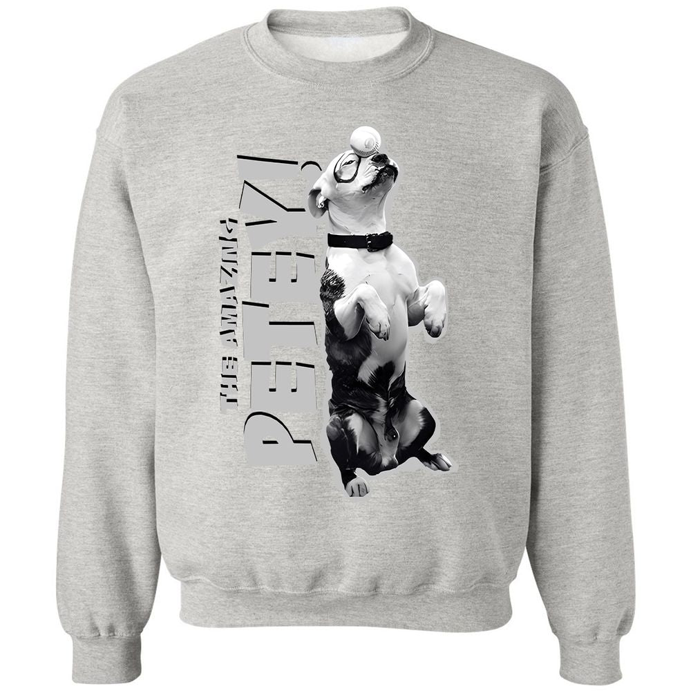 Classic Unisex Sweatshirt - V6LS9VF7 - Ash - 8