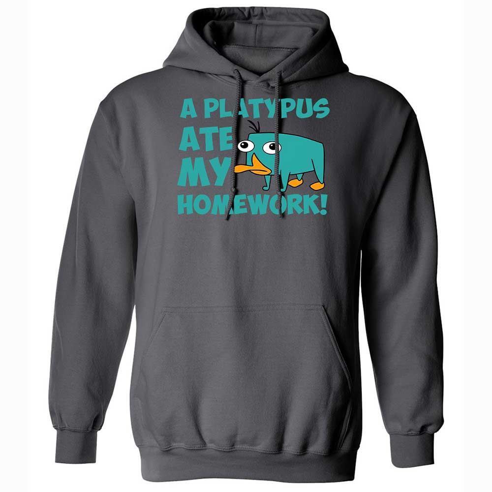 Classic Unisex Hoodie - 6LCQ1Y8Y - Charcoal - 8