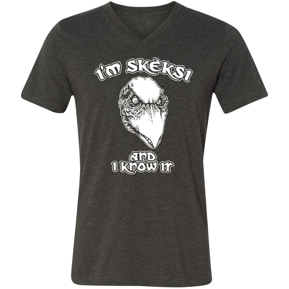 Unisex V-Neck T-Shirt - AGCXZ1HQ - Dark Grey Heather - 8