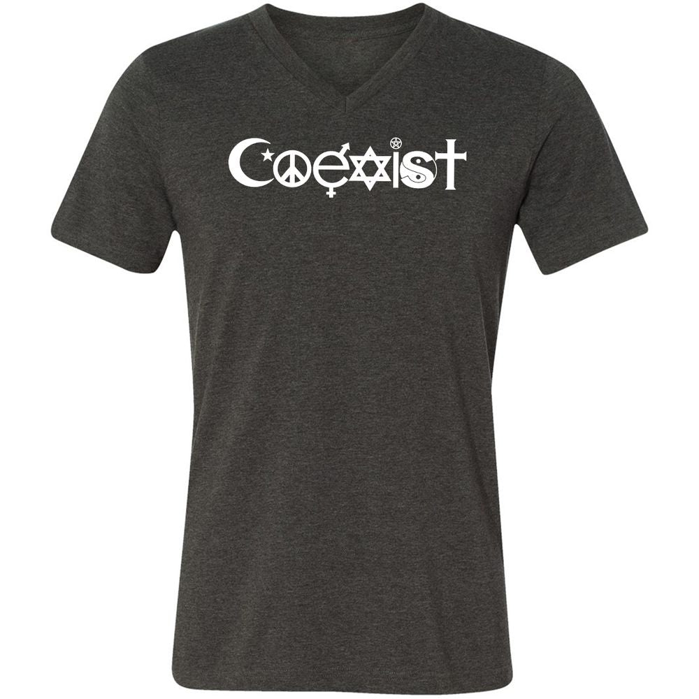 Unisex V-Neck T-Shirt - JYPD81KW - Dark Grey Heather - 8