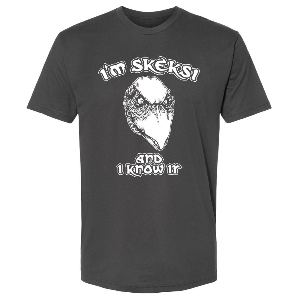 Premium Unisex T-Shirt - BSAFMLMJ - Heavy Metal - 8