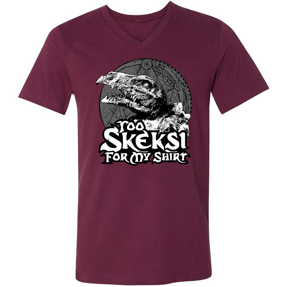 Unisex V-Neck T-Shirt - D7Z6V5R3 - Maroon - 8