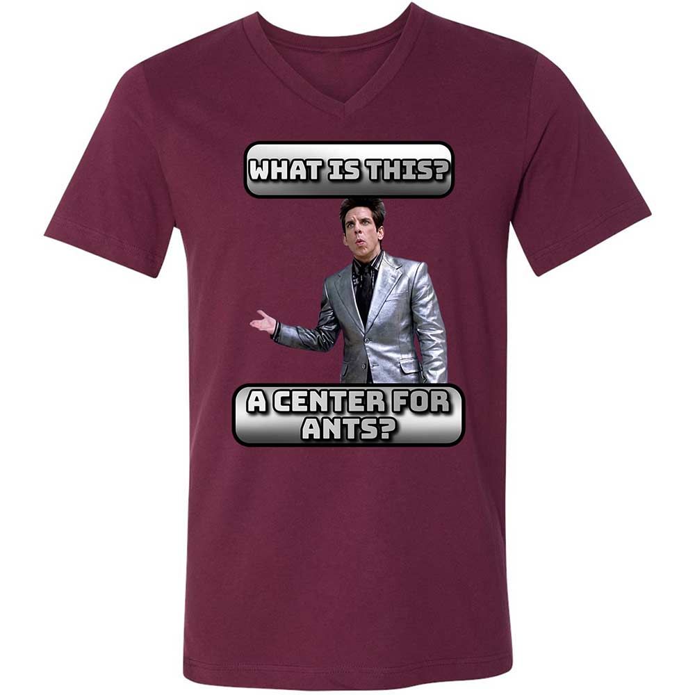 Unisex V-Neck T-Shirt - FKSFQMZ8 - Maroon - 8