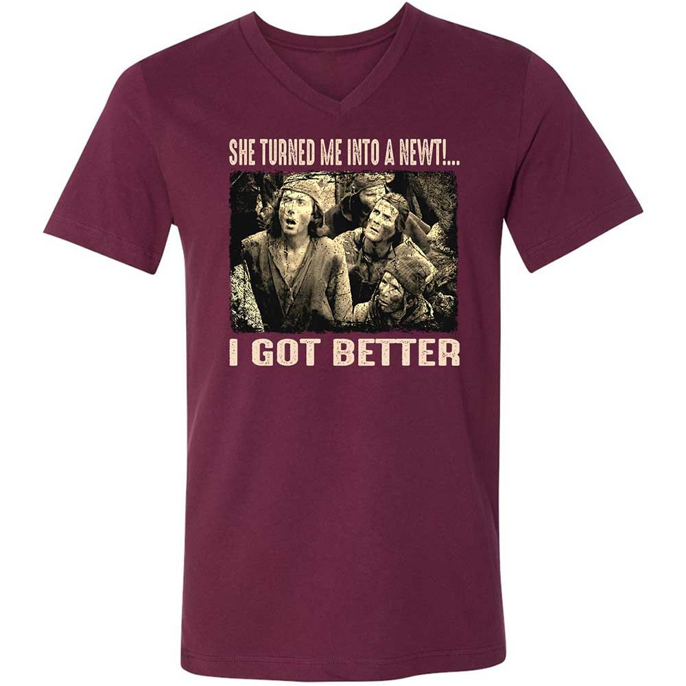 Unisex V-Neck T-Shirt - BPXQG833 - Maroon - 8