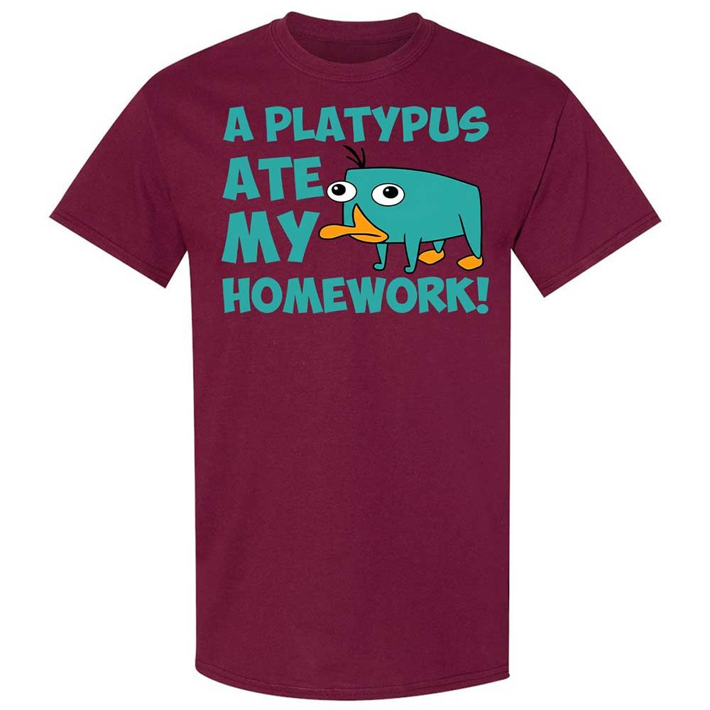 Classic Unisex T-Shirt - NQWJYLTT - Maroon - 8