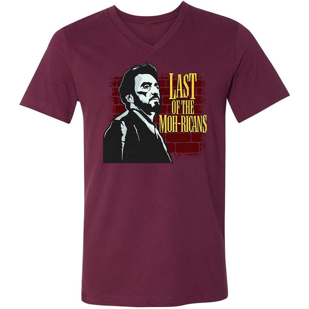 Unisex V-Neck T-Shirt - ALT917J5 - Maroon - 8