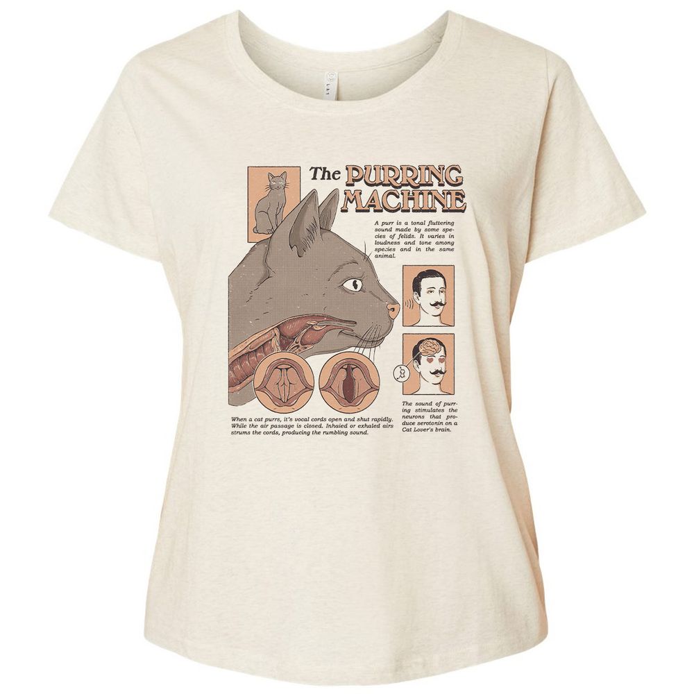 Ladies Curvy Jersey - WB2FBHM9 - Natural Heather - 8