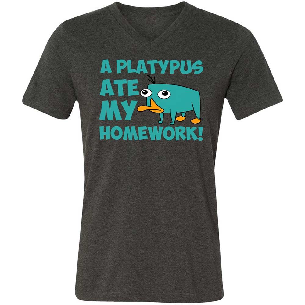 Unisex V-Neck T-Shirt - 5LF2ZZDD - Dark Grey Heather - 9