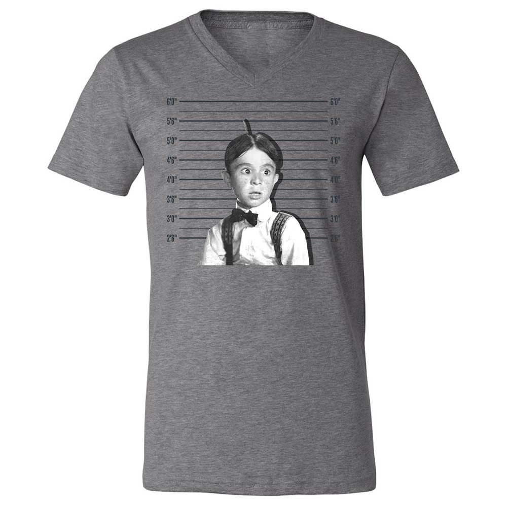 Unisex V-Neck T-Shirt - M89Y22R8 - Deep Heather - 9