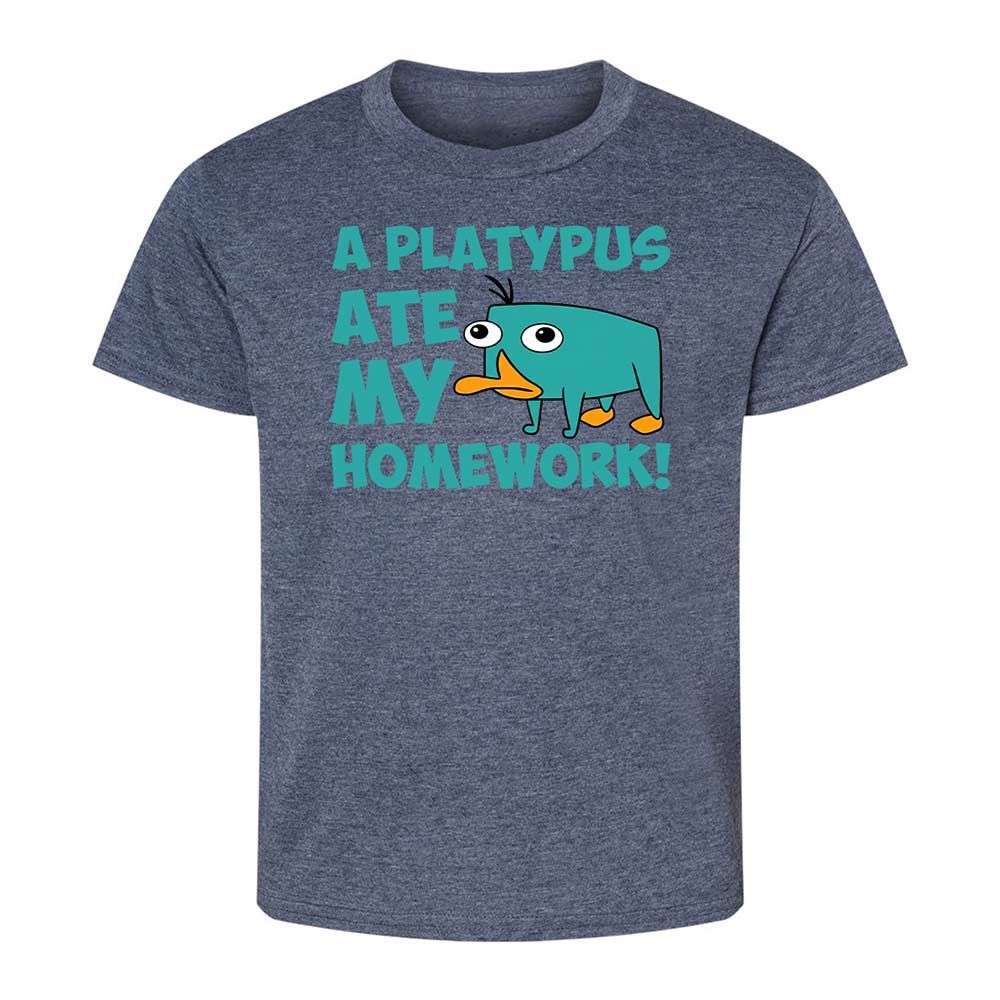 Kids T-Shirt - DA3TH5ZN - Heather Navy - 9