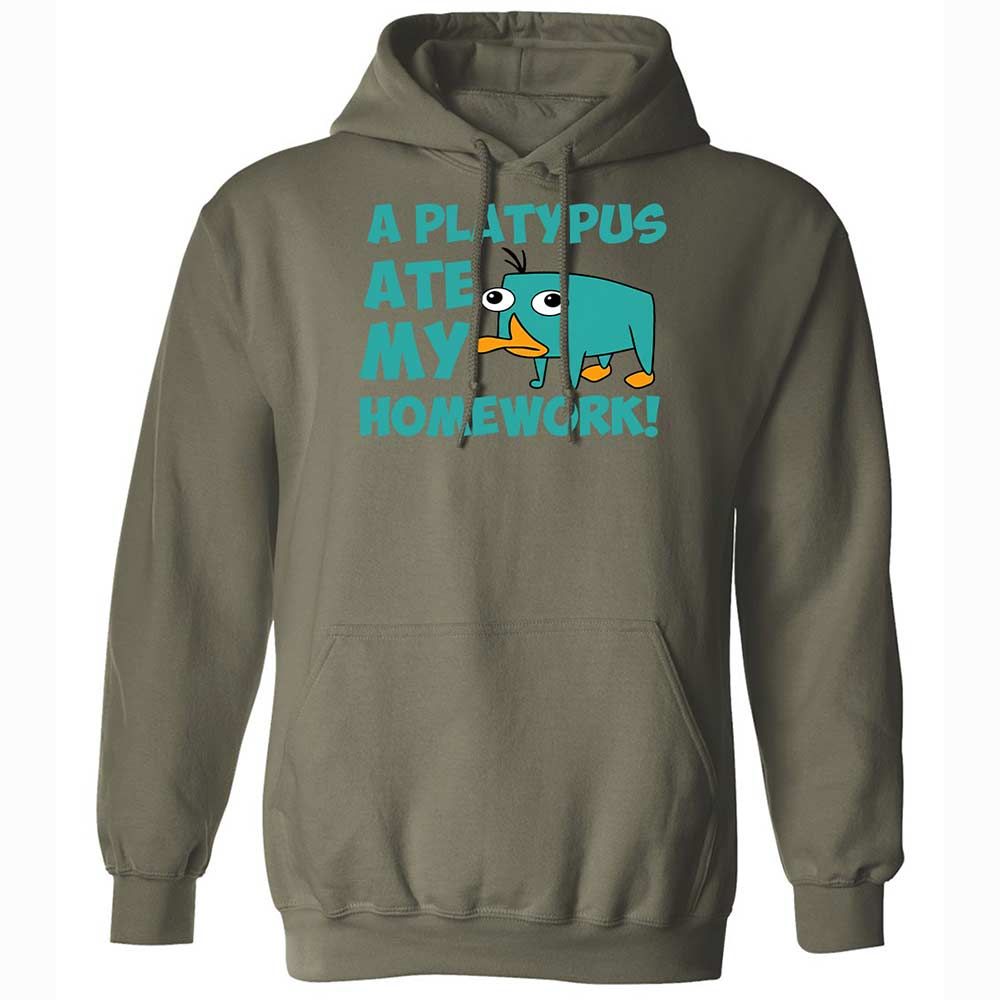 Classic Unisex Hoodie - 6LCQ1Y8Y - Military Green - 9